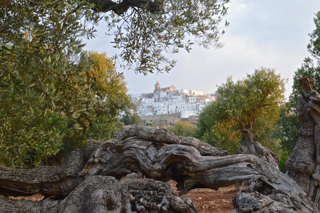 Apartmán Casa Campari Ostuni Exteriér fotografie
